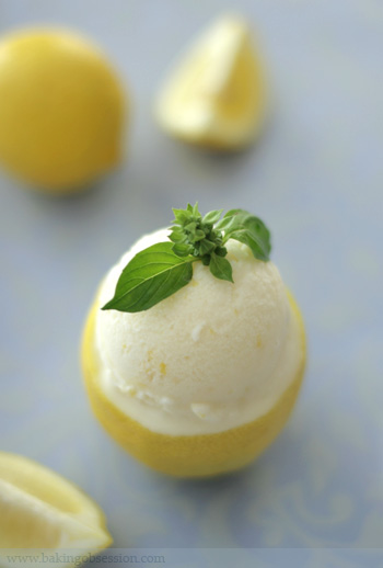 Lemon-Basil Sherbet