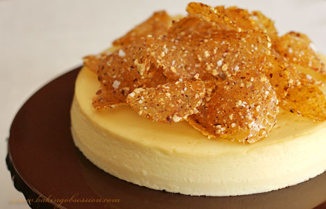 White Chocolate and Brie Cheesecake with Fleur de Sel and Hazelnut Brittle