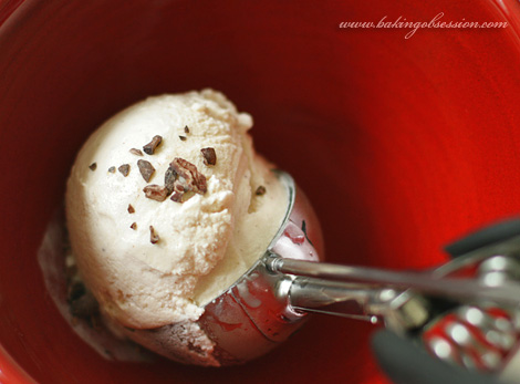 Cocoa Nib Ice Cream